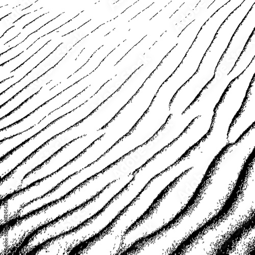 sand shaped by the wind