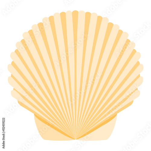 Seashells on a white background. Illustration on the summer theme.