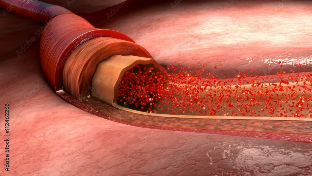 Blood flow in human body