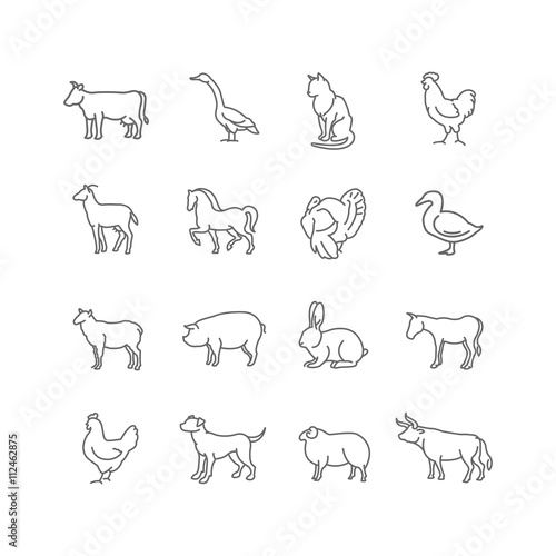 vector thin line farm animals icons set
