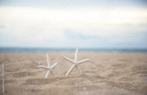 Closeup starfish on the beach and twilight sunset  