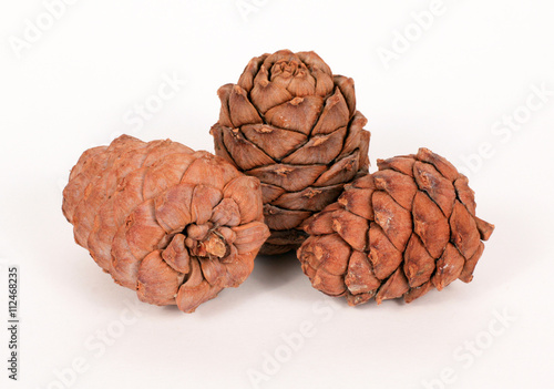 Pine cones on a white background