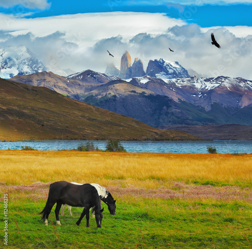Canvas Print Lake Laguna Azul in the mountains