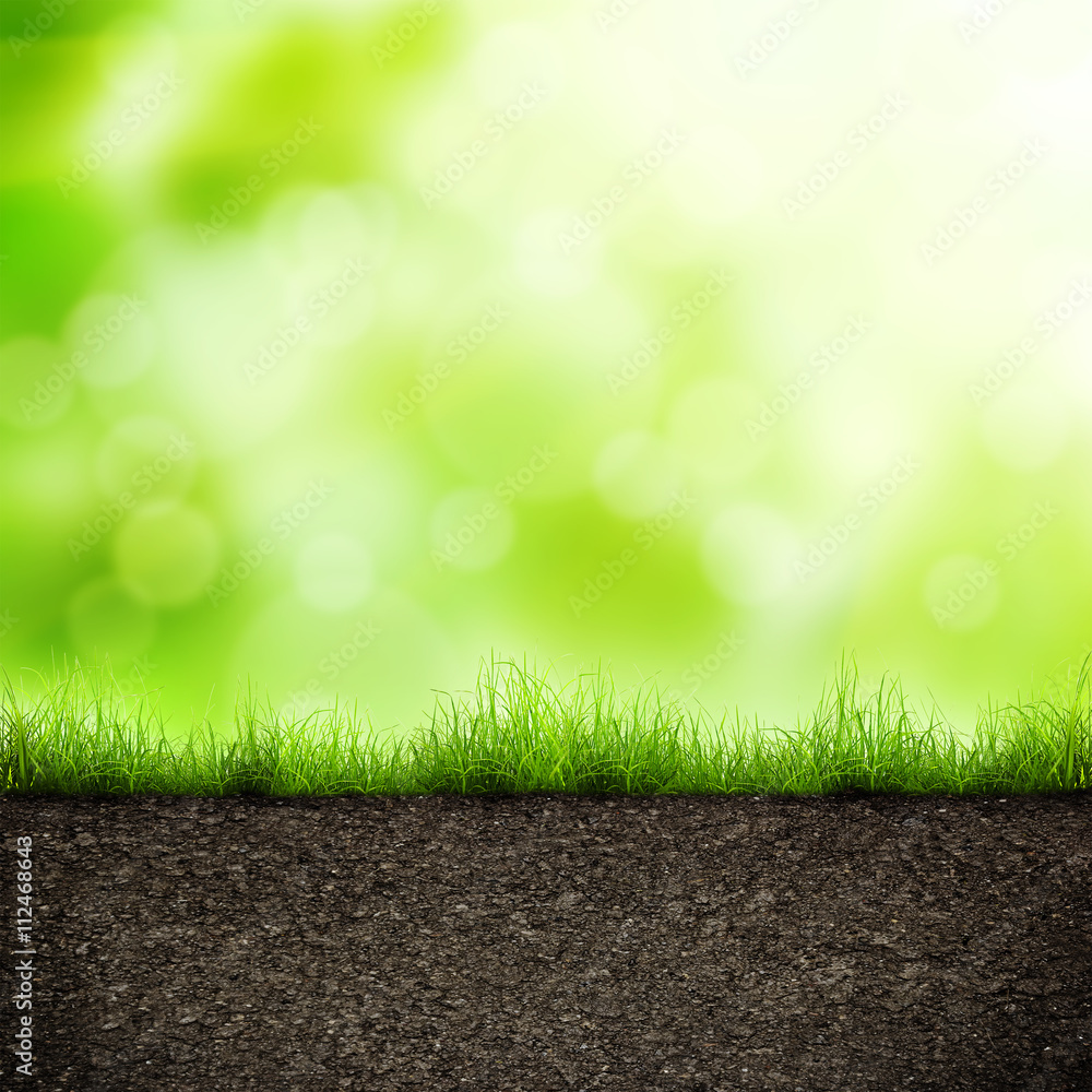 Fototapeta premium grass