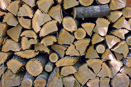 Harvested for winter firewood