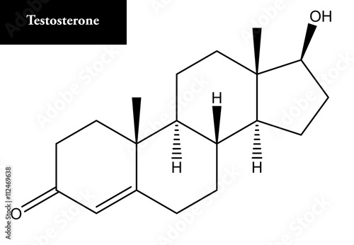 Molecular structure of Testosterone photo