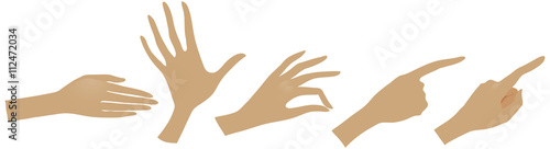 The vector illustration of hand drawn hands with various gestures.