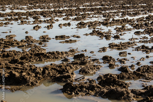 Agriculture mud soil field in a water flood