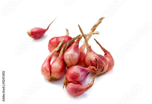 Red onions white background