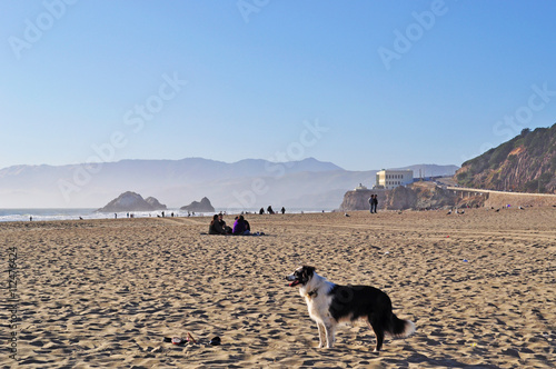 San Francisco: vista di Ocean Beach il 17 giugno 2010. La spiaggia di Ocean Beach, sull'Oceano Pacifico è famosa per la tipica nebbia che la circonda
