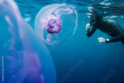 Freediver swim in the sea with jellyfish