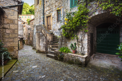 Green corners of old abandoned Tuscan town on a hill. © Jarek Pawlak