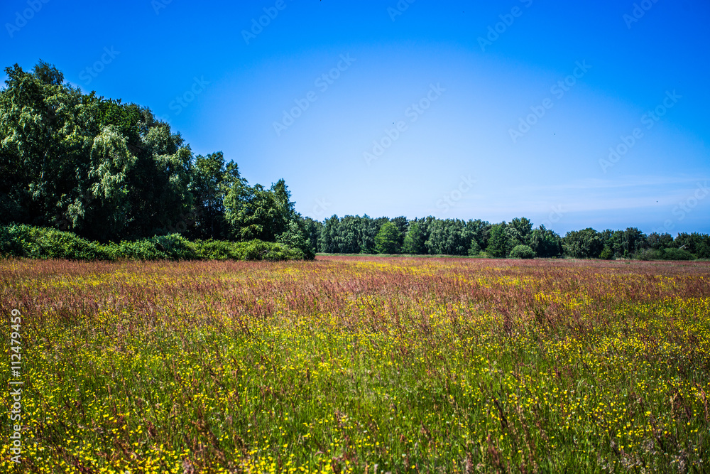 Fototapeta premium mecklenburg-vorpommern