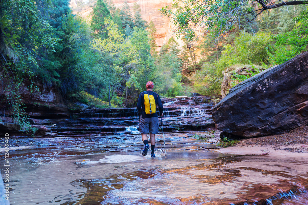 Hike in Zion Hike in Zion