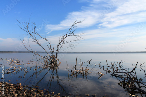 swampy shore of the lake with branches and blue sky
