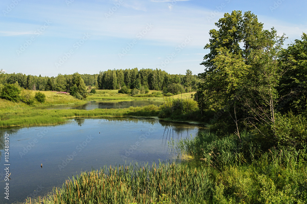 Small forest lake in summer