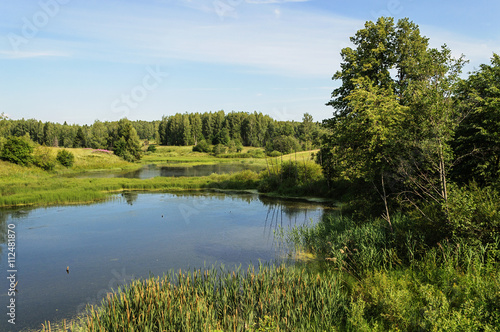 Small forest lake in summer