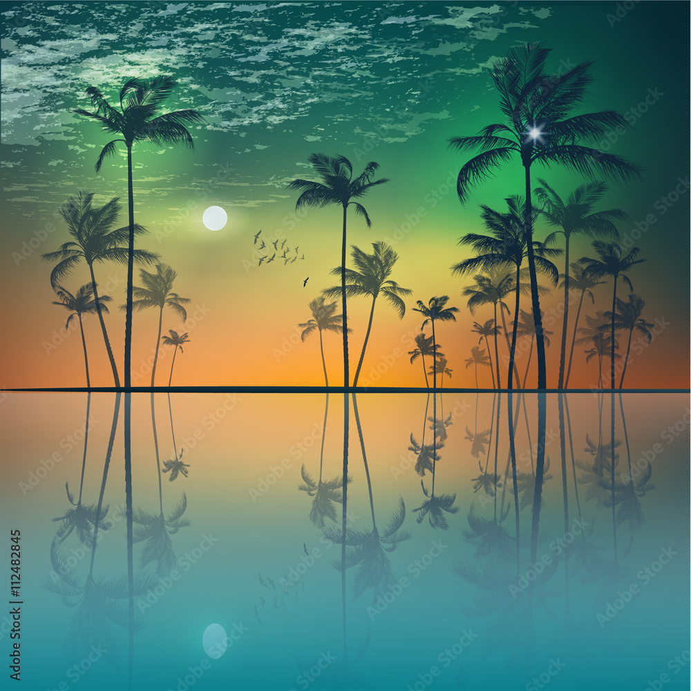 Island of tropical palm trees  at sunset or moonlight, with clou