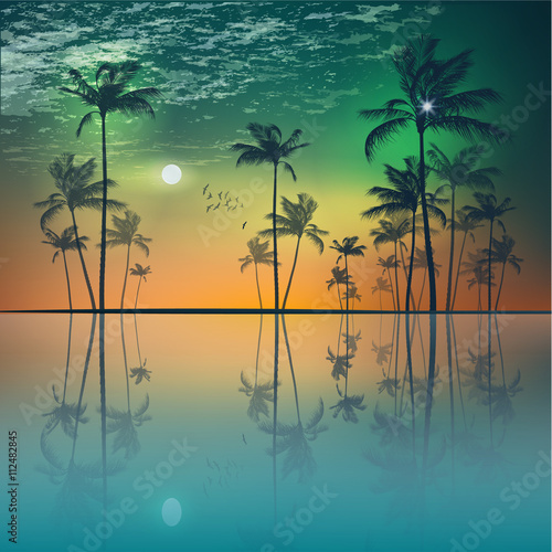 Island of tropical palm trees at sunset or moonlight, with clou