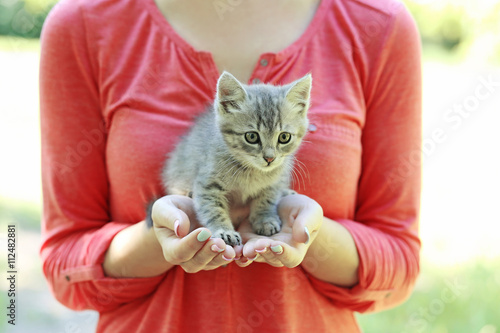 Beautiful little cat on female hands, outdoors photo