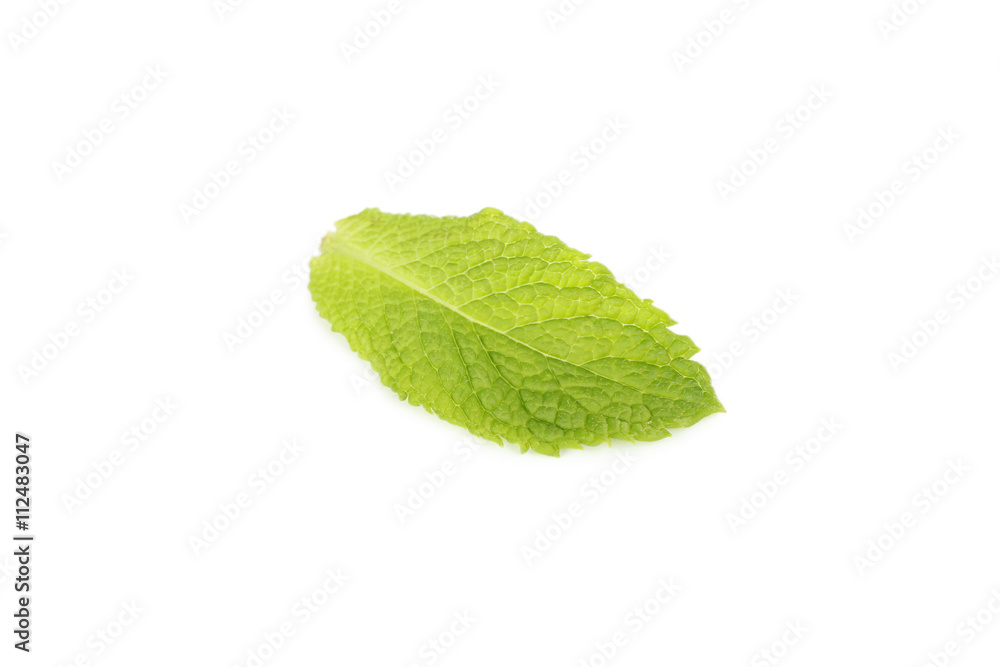 Fresh mint leaf isolated on a white Fresh mint leaf isolated on a white