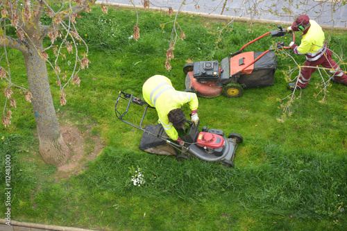 jardineros cortando el césped photo