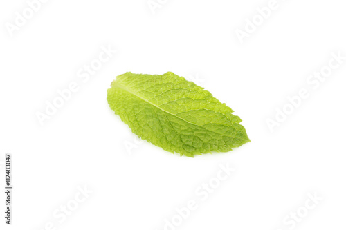 Fresh mint leaf isolated on a white