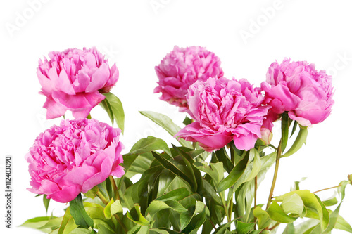 Bouquet of pink peony flowers isolated on a white © 5second