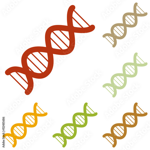 The DNA sign