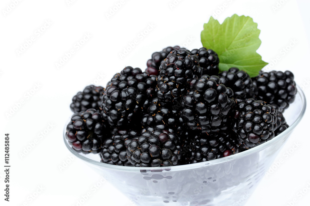 Blackberry in a glass isolated Blackberry in a glass isolated