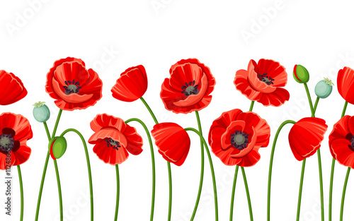 Obraz na plátně Vector horizontal seamless background with red poppies on a white background