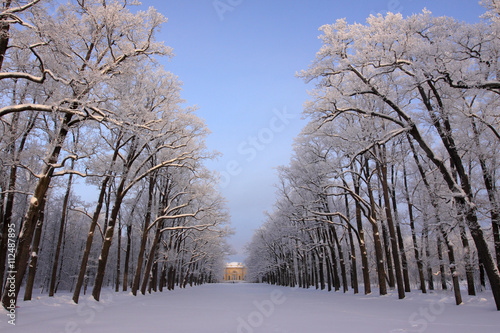 Avenue of winter park