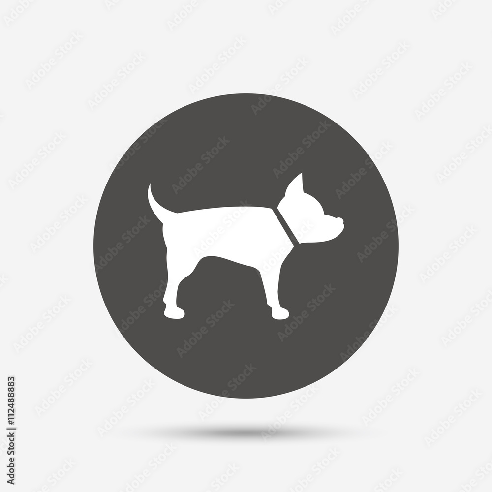 Dog sign icon. Pets symbol.