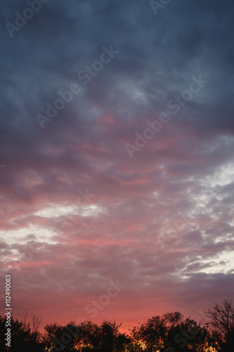 beautiful clouds pink in the sunset over the forest