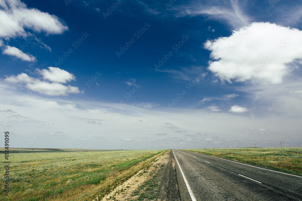 asphalt road with a marking leaving afar on a summer day