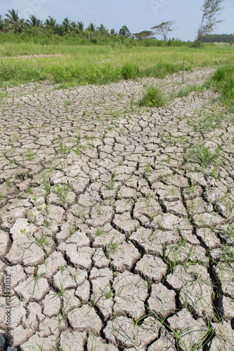 Crack soil on dry season, Global worming effect.