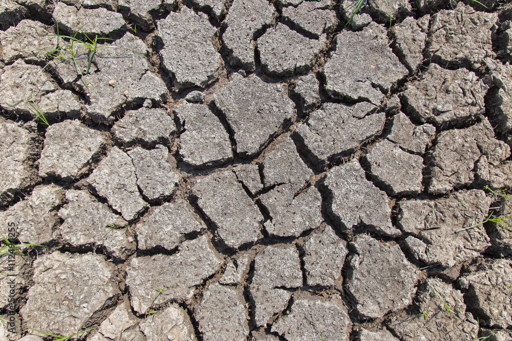 Obraz premium Dry soil with dramatic cracks caused by the lack of water