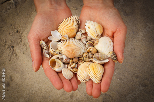 Seashells in hand of woman at the beach