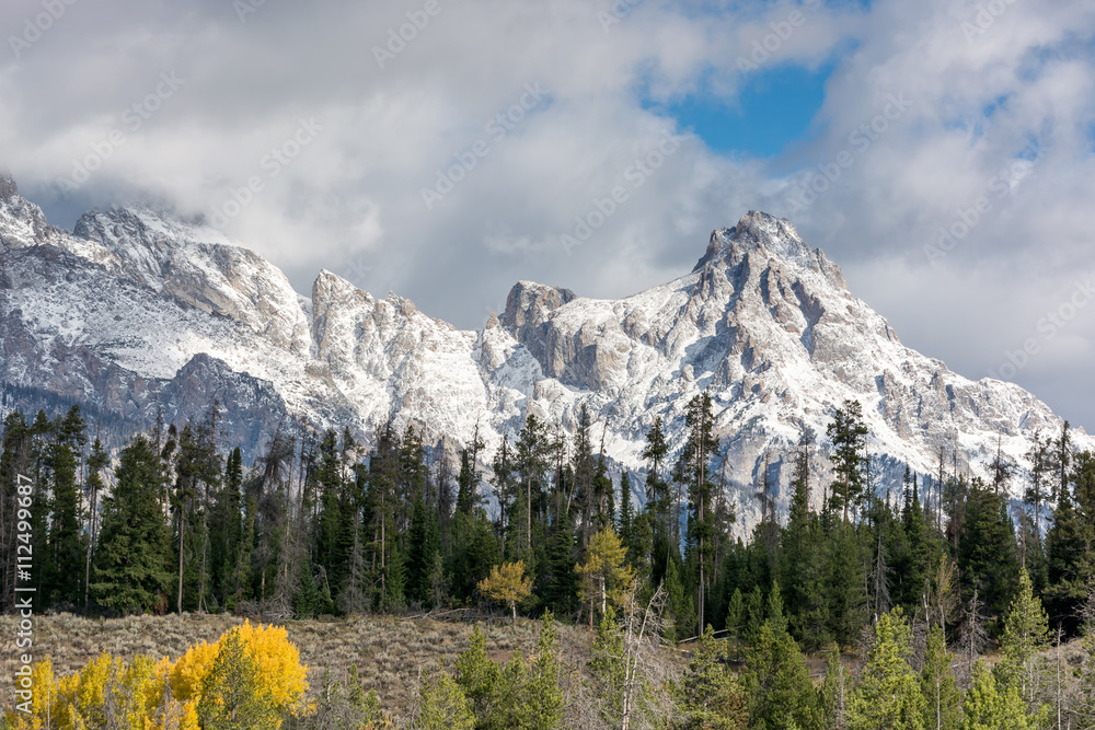 Fototapeta premium Scenic view of the Grand Teton National Park