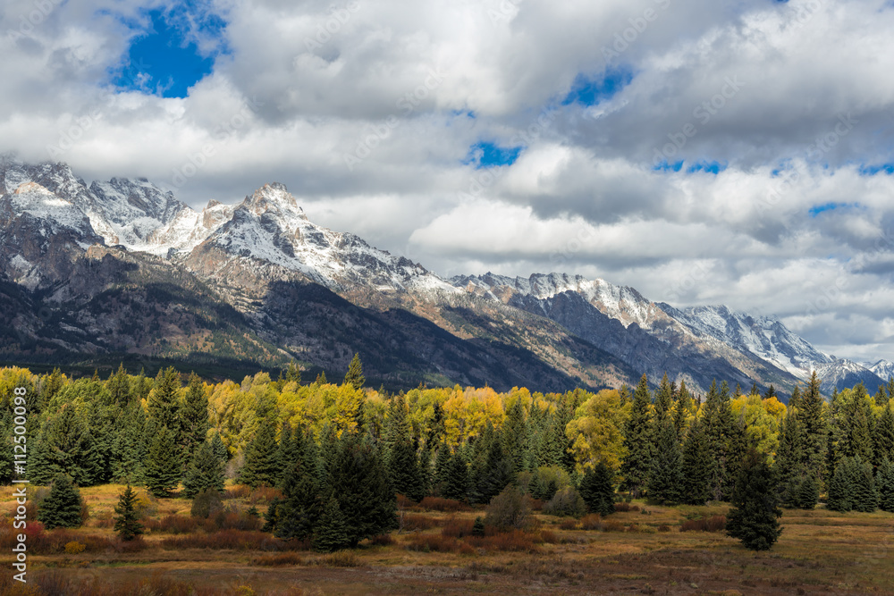 Scenic view of the Grand Teton National Park