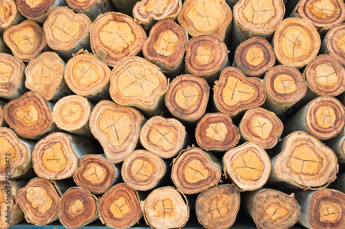 Closeup of a pile cut timber