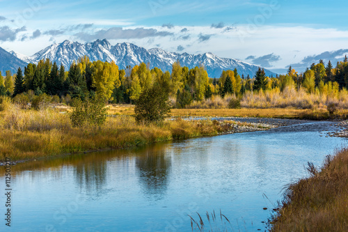 Autumnal Colours in the Grand Teton National Park