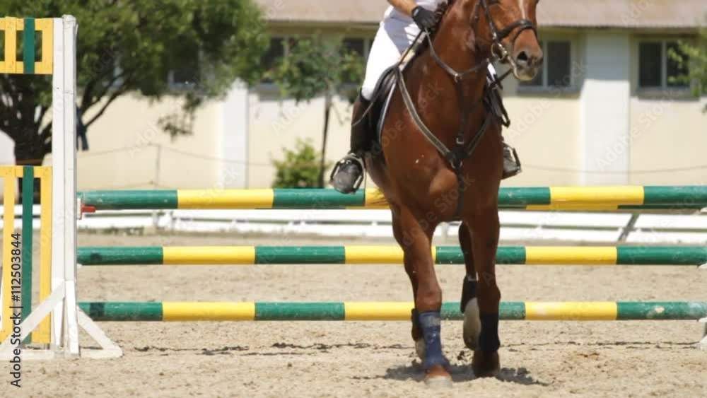 Horse jumping on a hurdle.Slow motion. Horse jumping on a hurdle.Slow motion.