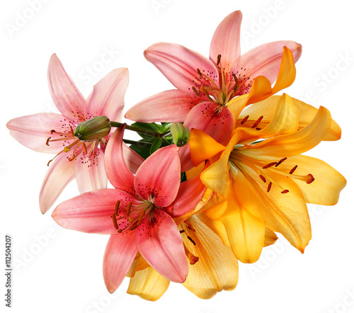 Pink and orange lilies photo