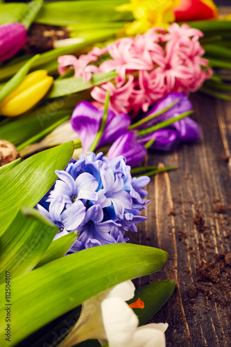 Beautiful spring flowers