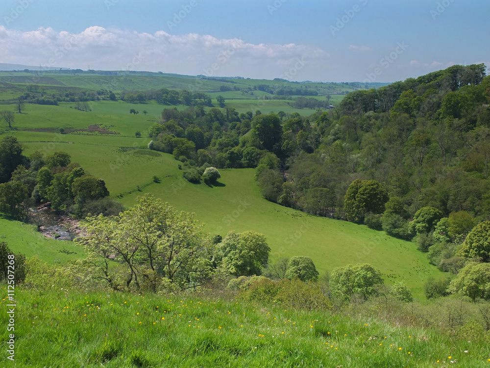 Fototapeta premium The Irthing gorge in Cumbria