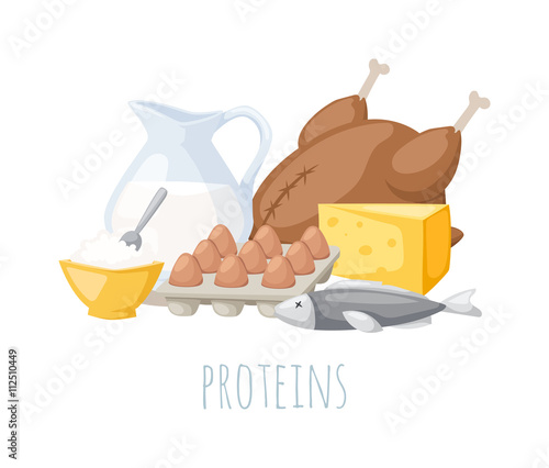 Proteins food vector illustration.
