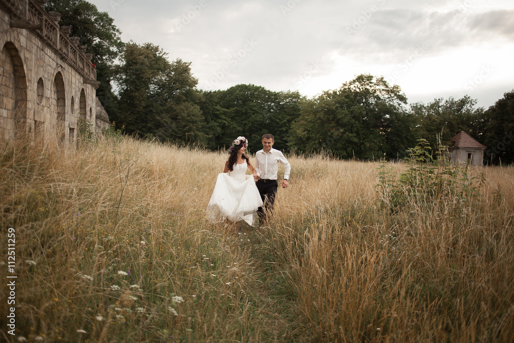 Beautiful romantic wedding couple of newlyweds hugging near old castle Beautiful romantic wedding couple of newlyweds hugging near old castle