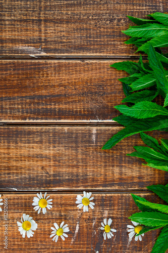 flower of chamomile and fresh mint on wooden background. Frame  copy space. Top view.