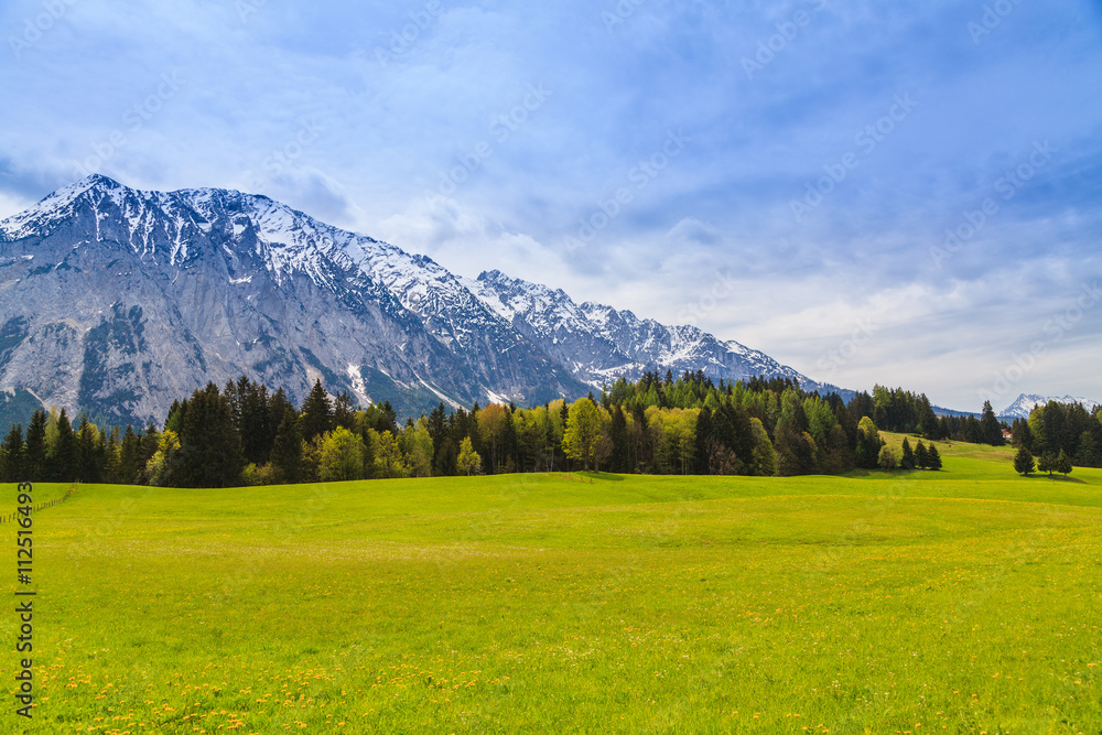 Beautiful green meadow with the Alps in the background.